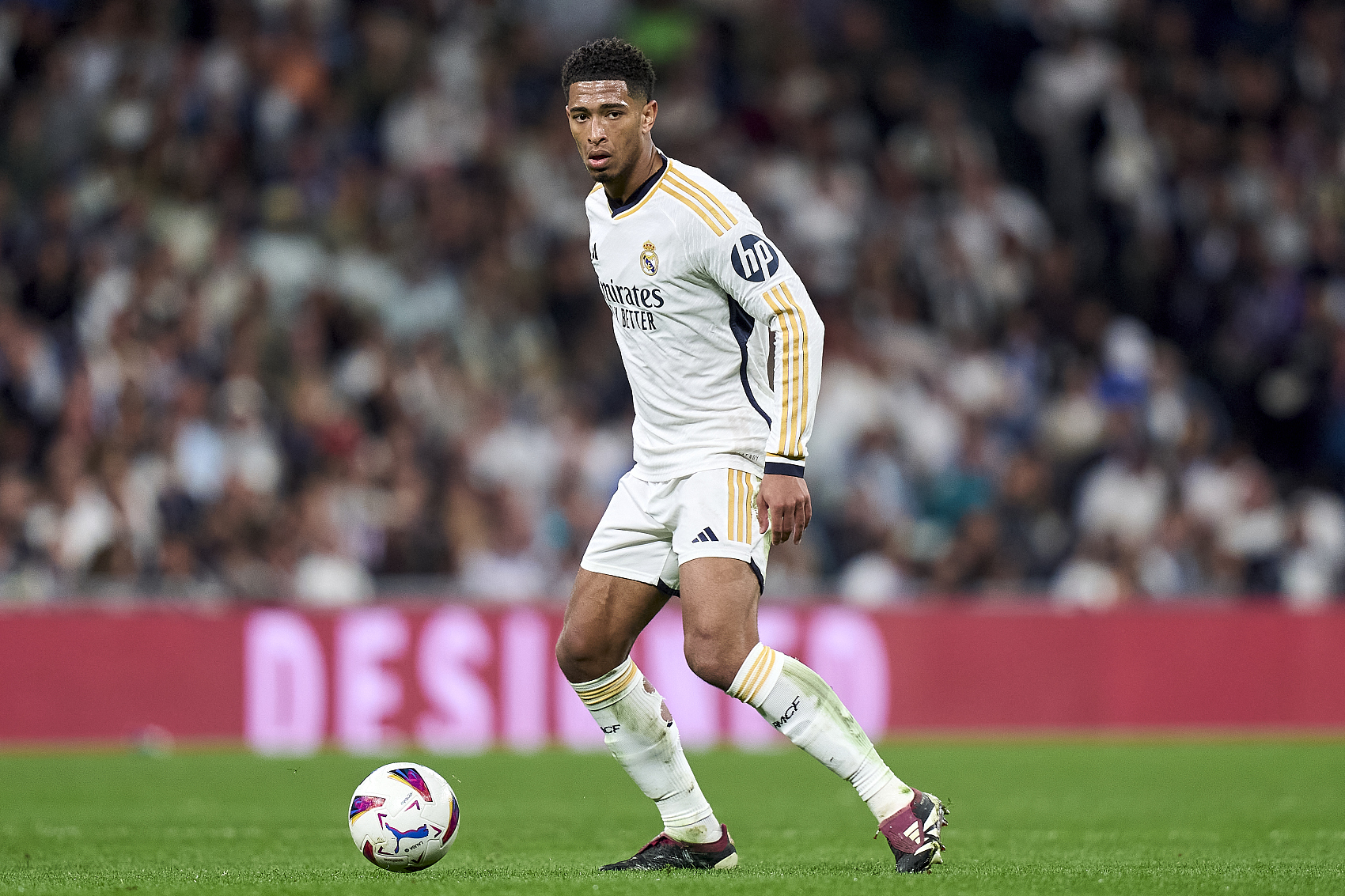 无视塔图姆 无视塔图姆