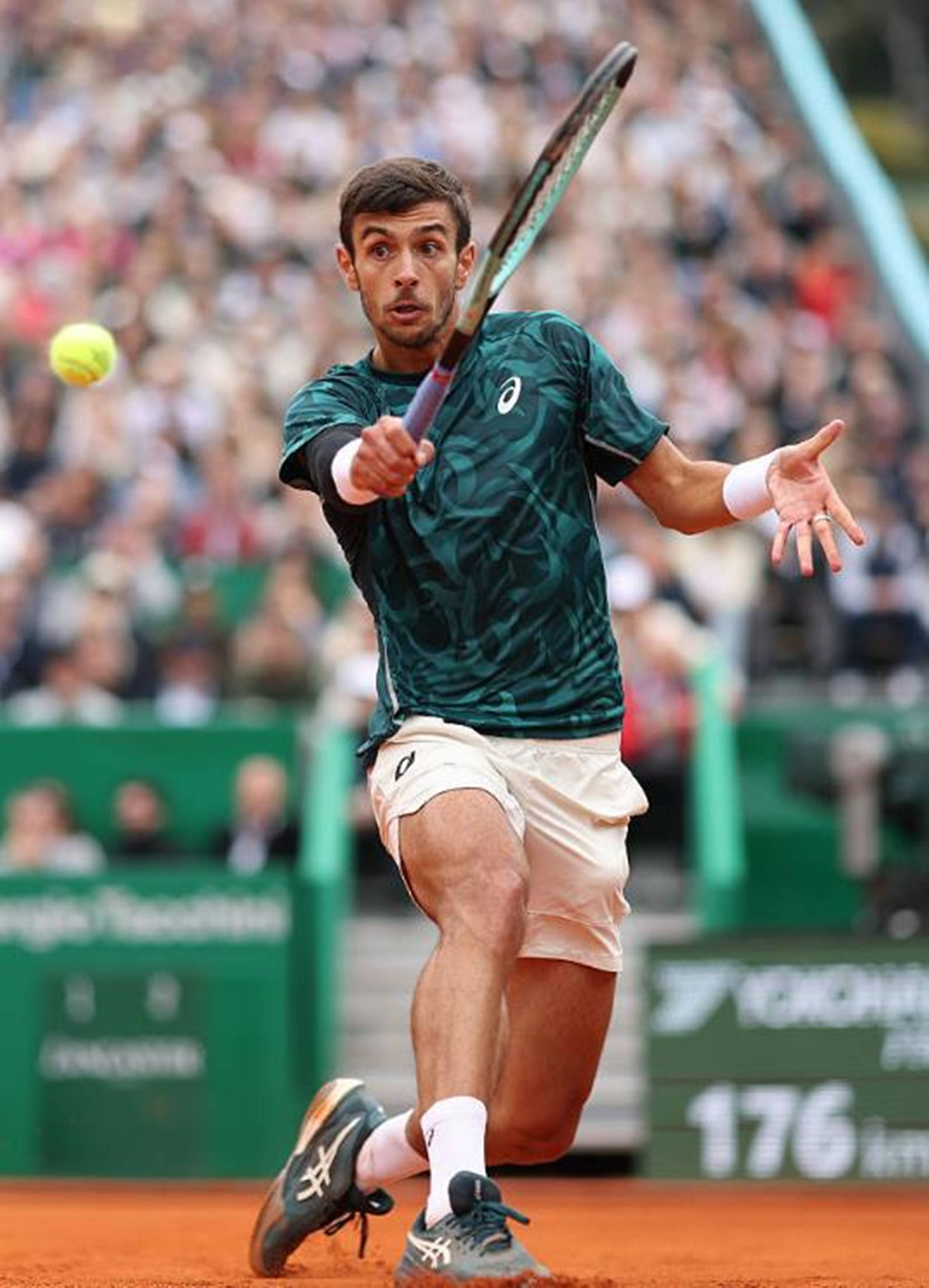 无疑问是这 无疑问是这